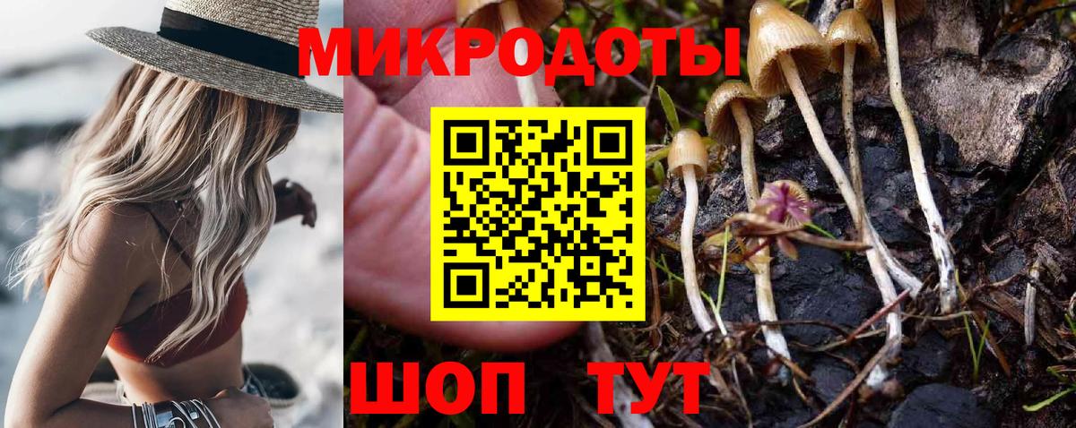 Брянск  Галлюциногенные грибы ЛСД  Галлюциногенные грибы Psilocybine cubensis  Вход с VPN 
